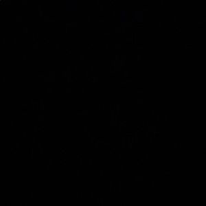 Meet your Posher, Marlene